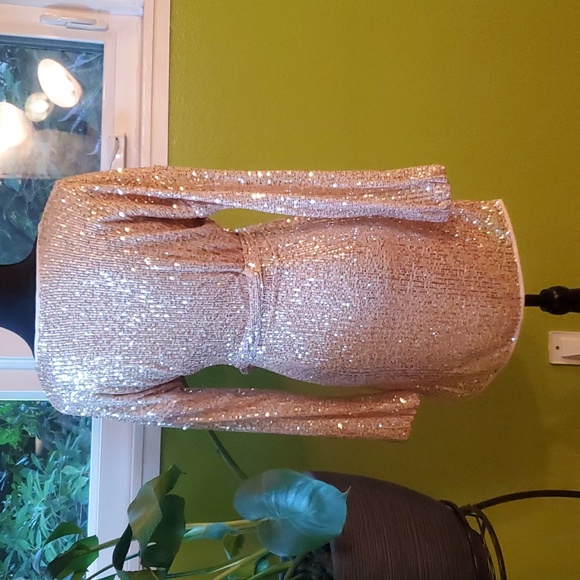 Forever 21 Sequin Dress - Picture 2 of 3